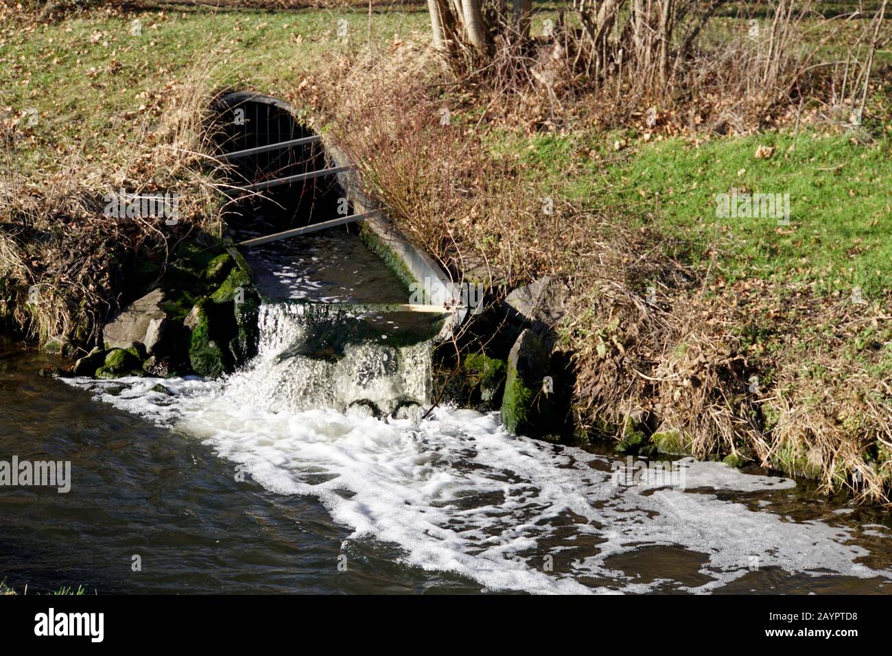 sauberes Wasser fliesst von der Kläranlage in die Erft, Euskirchen, Nordrhein-Westfalen, Deutschland Stock Photo