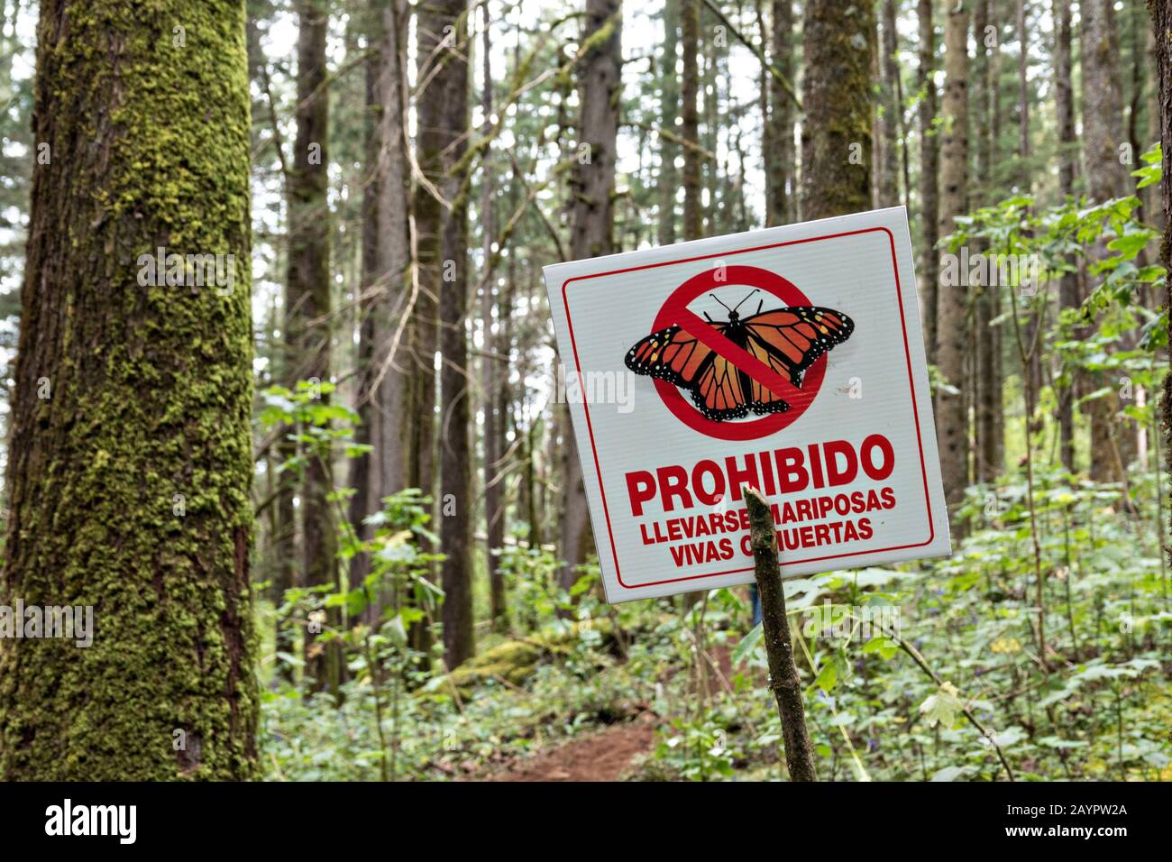Signs warning visitors to follow rules in the Cerro Pelon Monarch