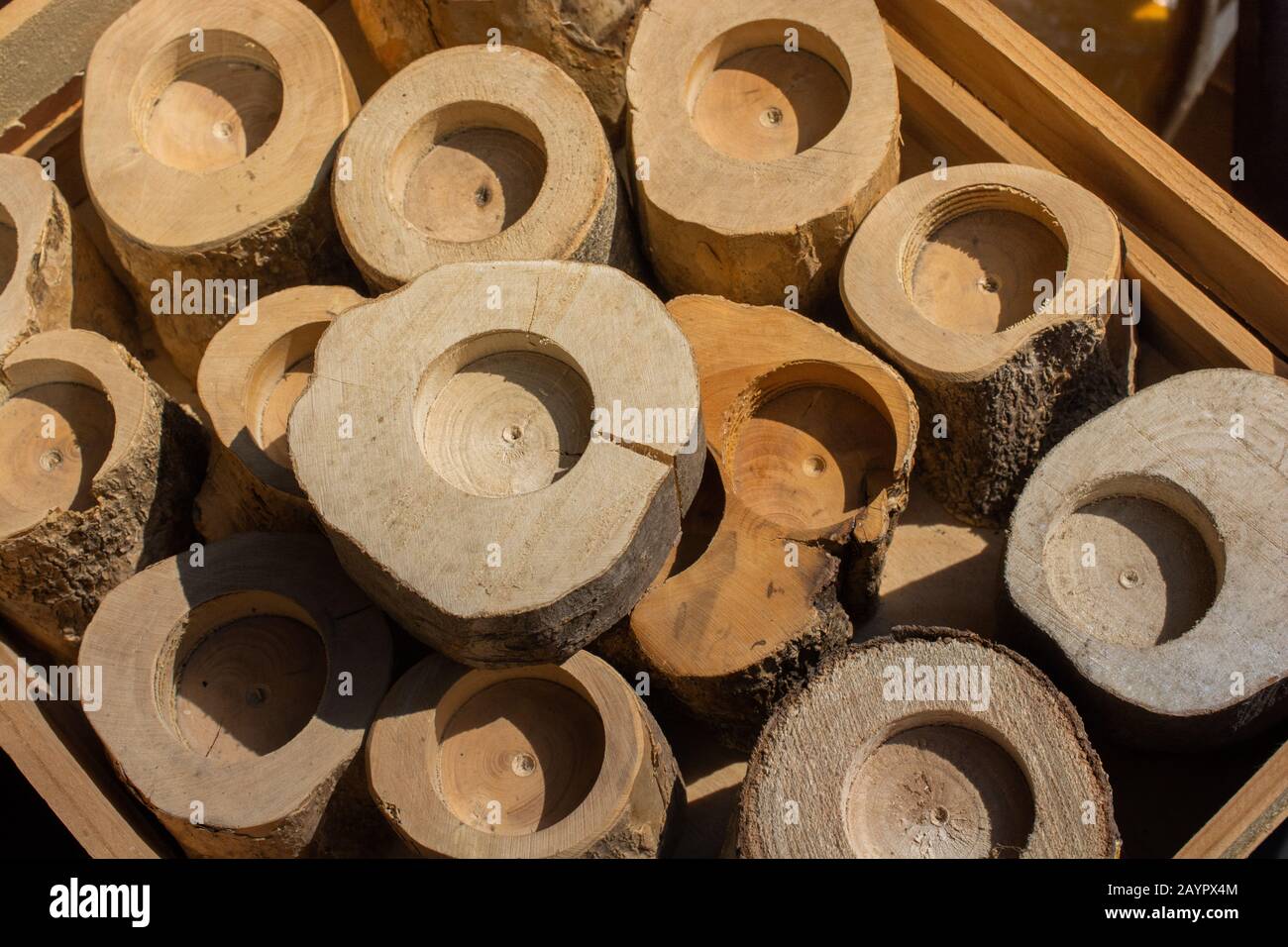 Stump Section Realistic tree textures hi-res stock photography and images - Alamy