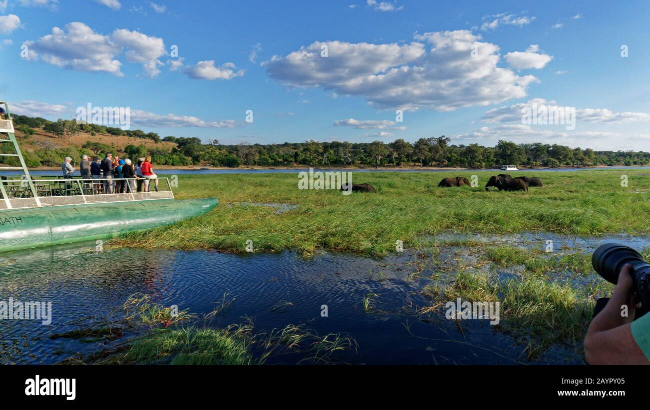 Botswana river hi-res stock photography and images - Alamy