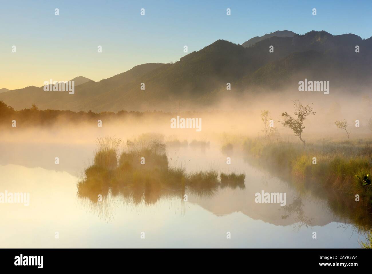 nature reserve Kendlmuehlfilzn at sunrise in morning mist , Germany, Bavaria, Grassau Stock Photo