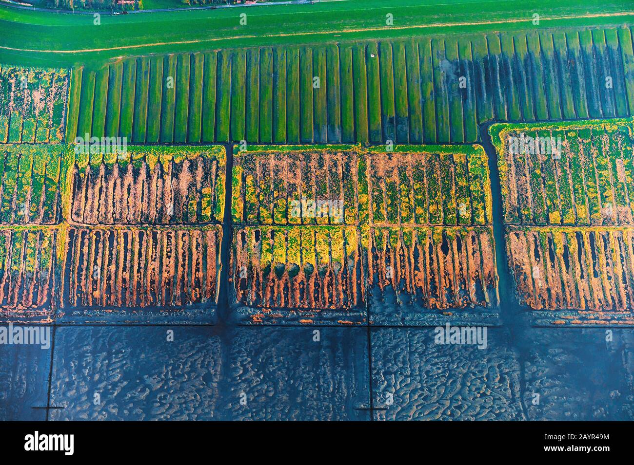 salz marshes on island Nordstarnd, aerial picture, Germany, Schleswig-Holstein, Schleswig-Holstein Wadden Sea National Park, Northern Frisia Stock Photo