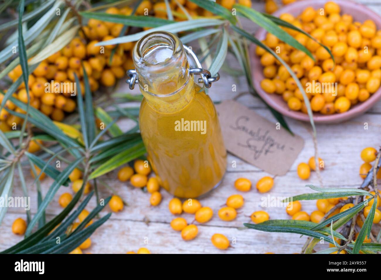 common seabuckthorn (Hippophae rhamnoides), juice made from seabuckthorn berries, Germany Stock Photo