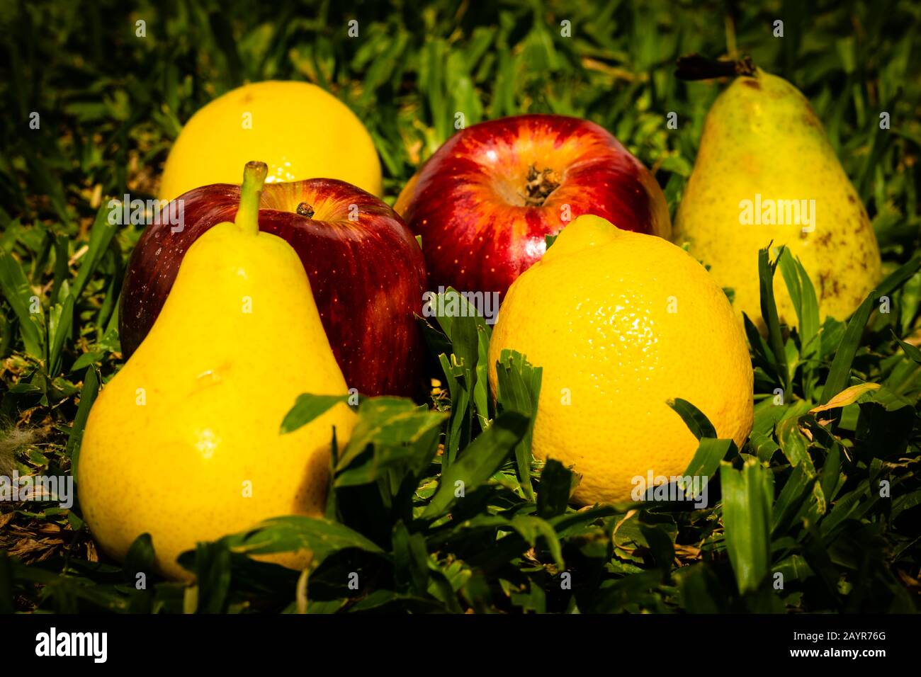 Different kind of fruits. Apple and pears Stock Photo Alamy