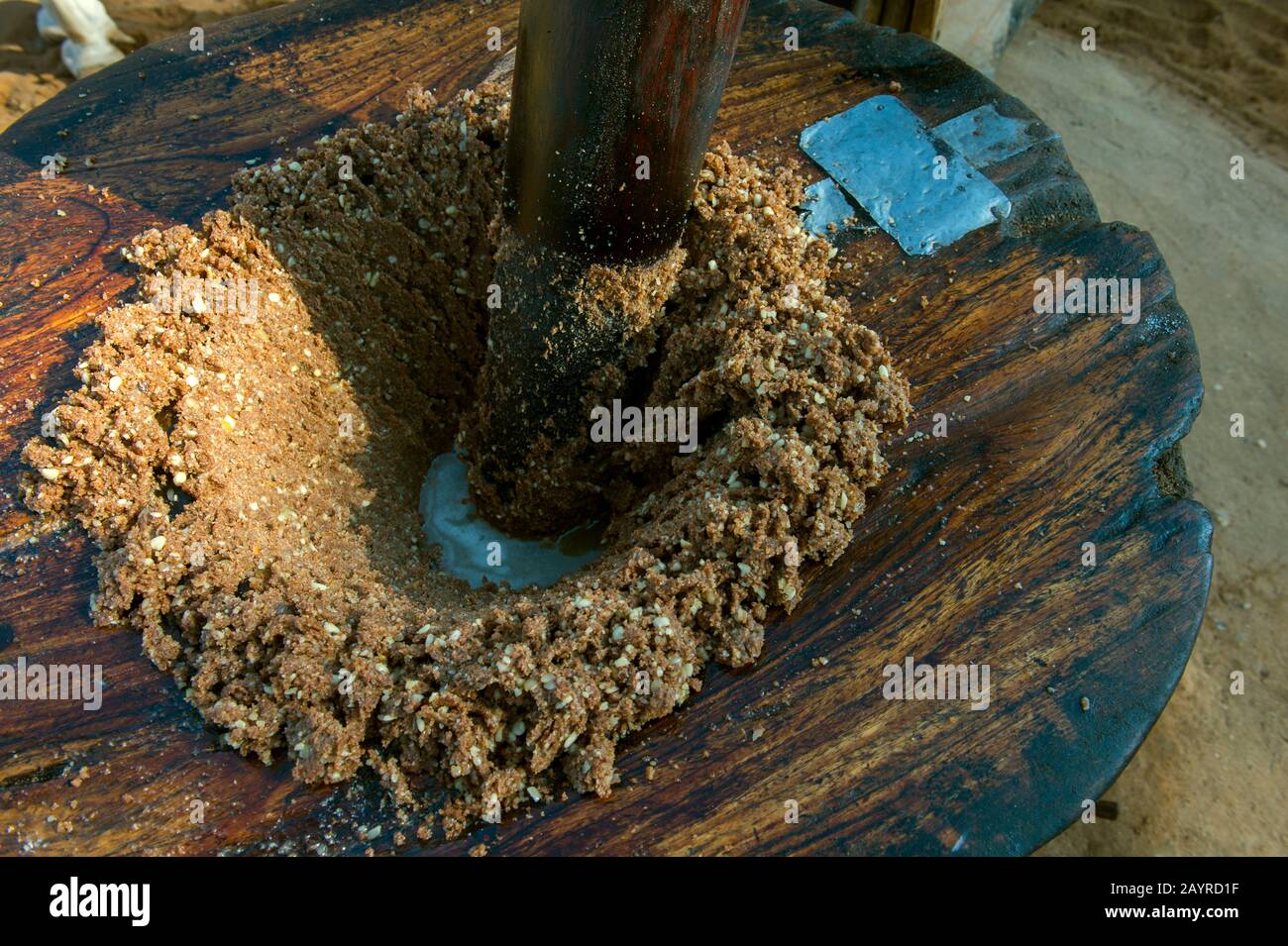 View of ground peanuts: a farmer is using an ox to grind peanuts to extract the peanut oil in Bagan, Myanmar. Stock Photo