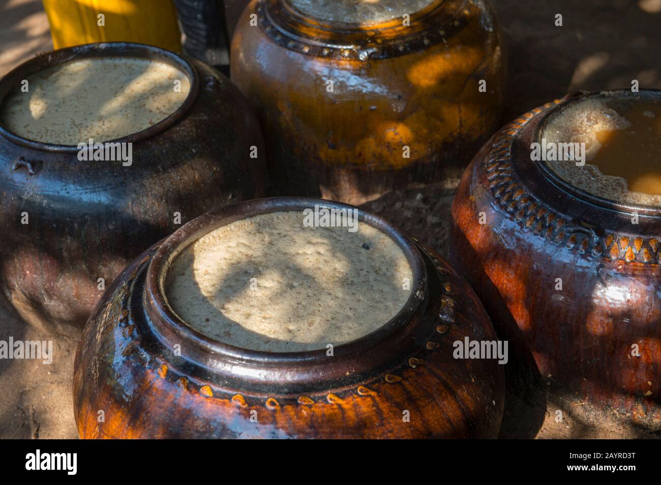 Jars with fermenting palm sap for Toddy Palm Wine production in Bagan, Myanmar. Stock Photo