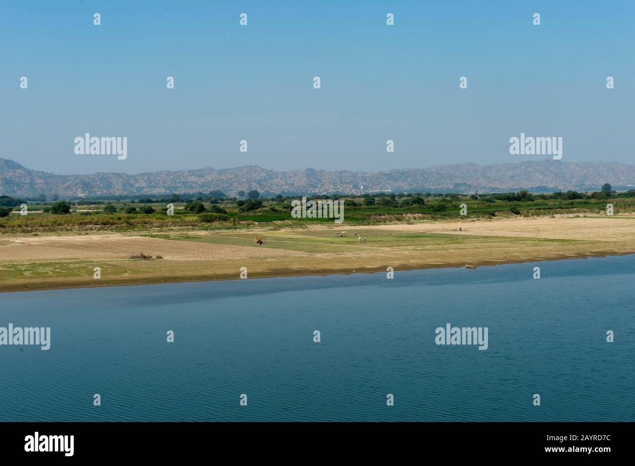 Farmers planted crops on the riverbank after rainy season and the high water of the Irrawaddy River (Ayeyarwady River) receded in Bagan, Myanmar. Stock Photo