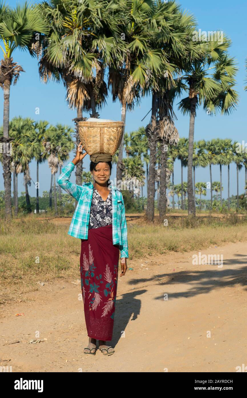A woman is walking along the road from Bagan to Mandalay in Myanmar balancing a basket on her head. Stock Photo