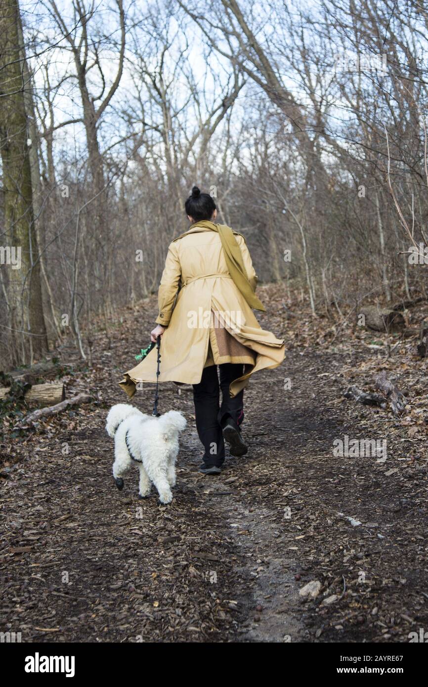 Woman walks with her canine companion along a trail during the winter in Prospect Park, Brooklyn, New York. Stock Photo