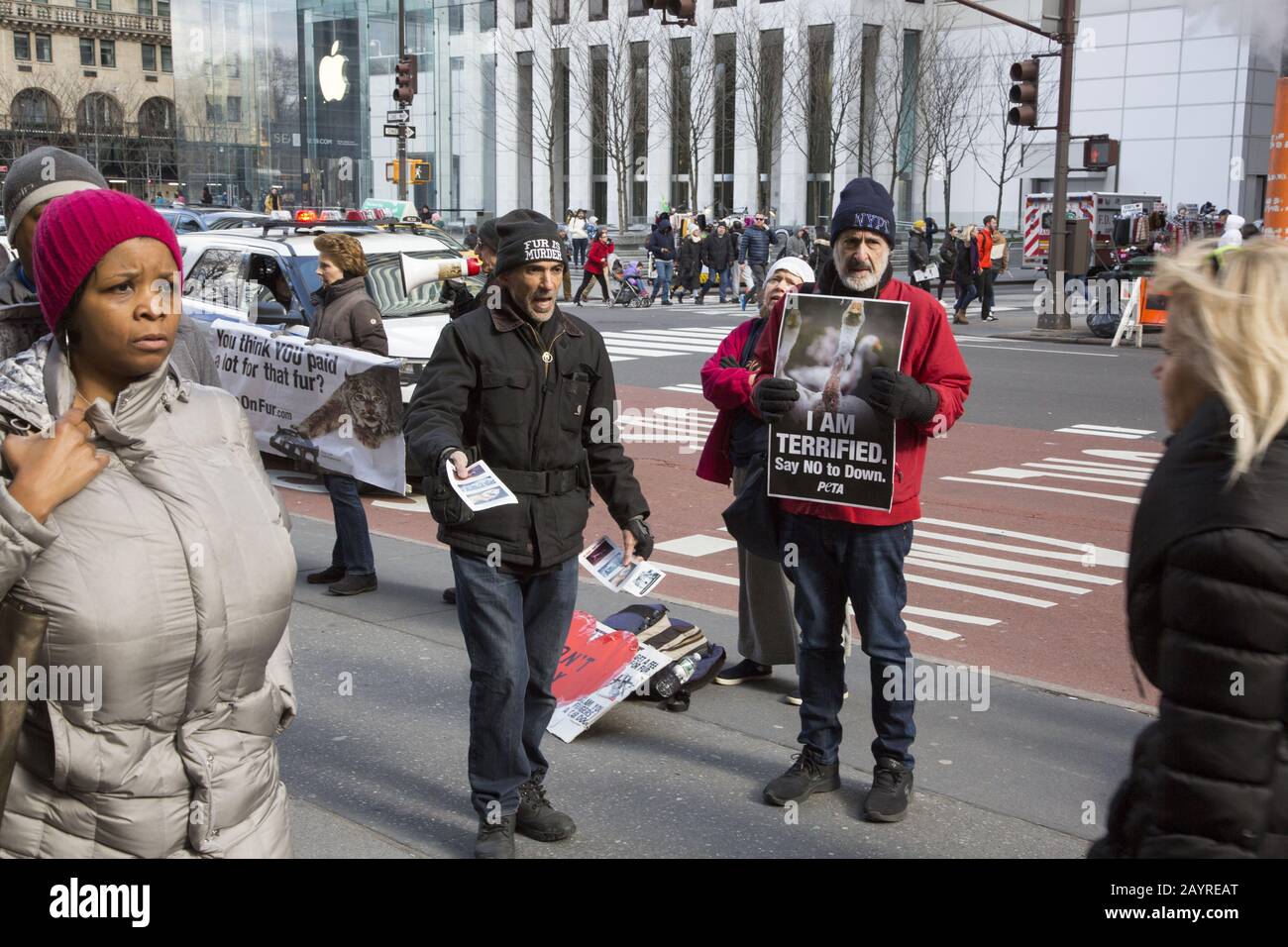 Peta animal rights protestors hi-res stock photography and images - Alamy