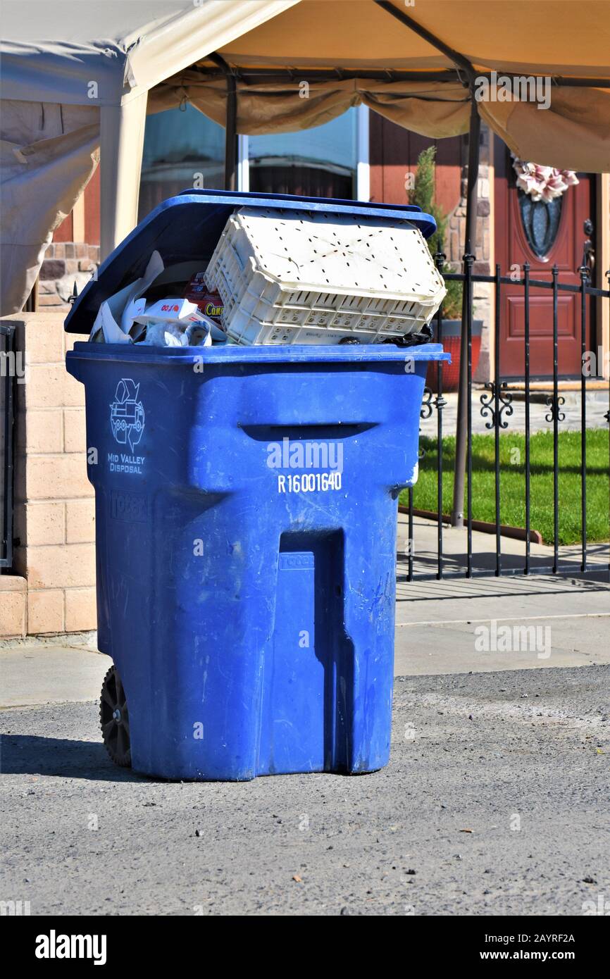 Trash and cans and dumpster for pickup by recycling and disposal