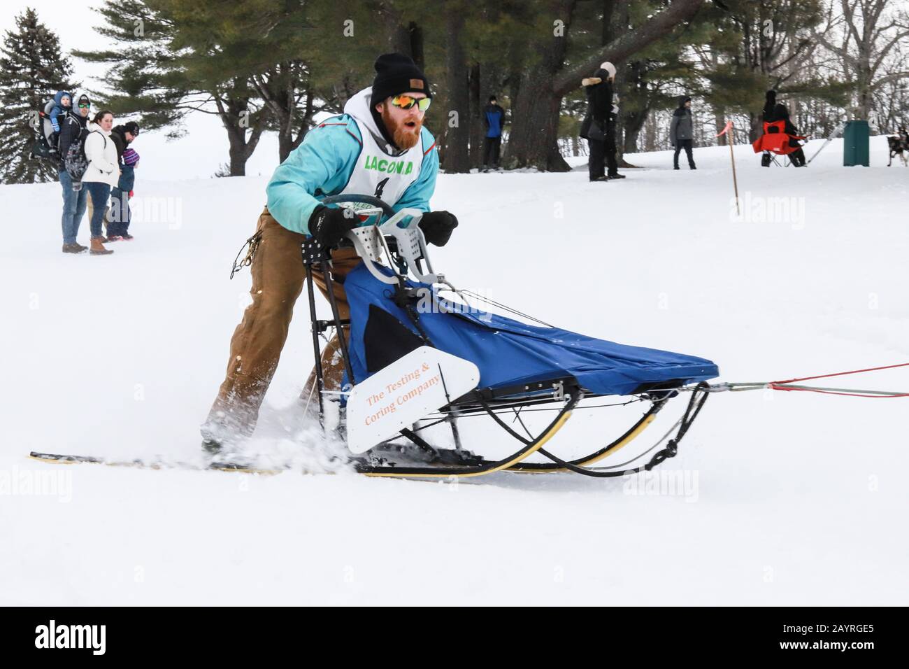 Dog derby hires stock photography and images Alamy
