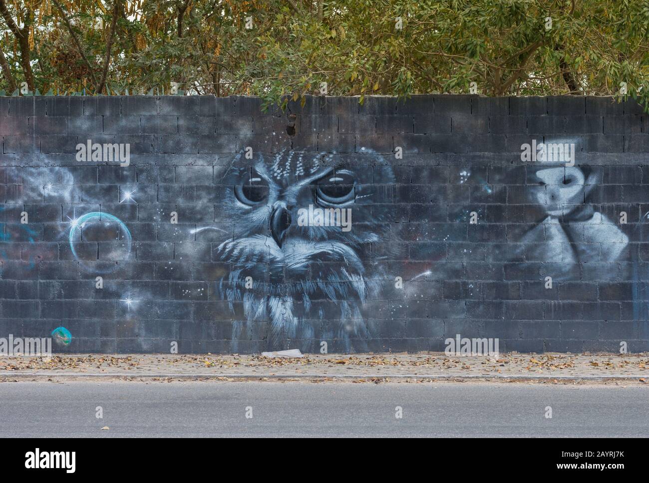 Owl mural, street art in Merida, Yucatan, Mexico. Stock Photo