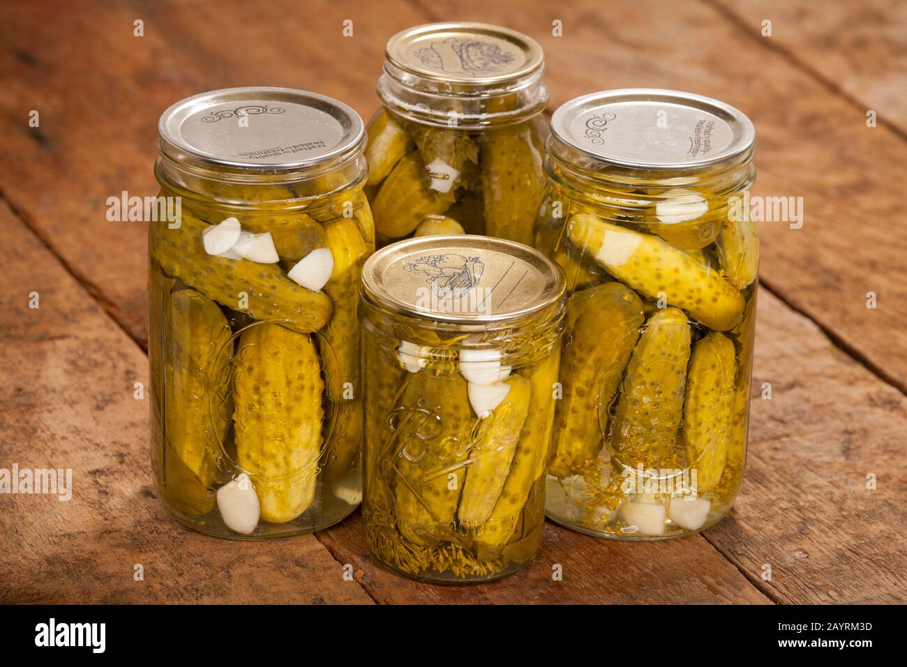 Four jars of homecanned dill pickles, showing the pickled cucumbers