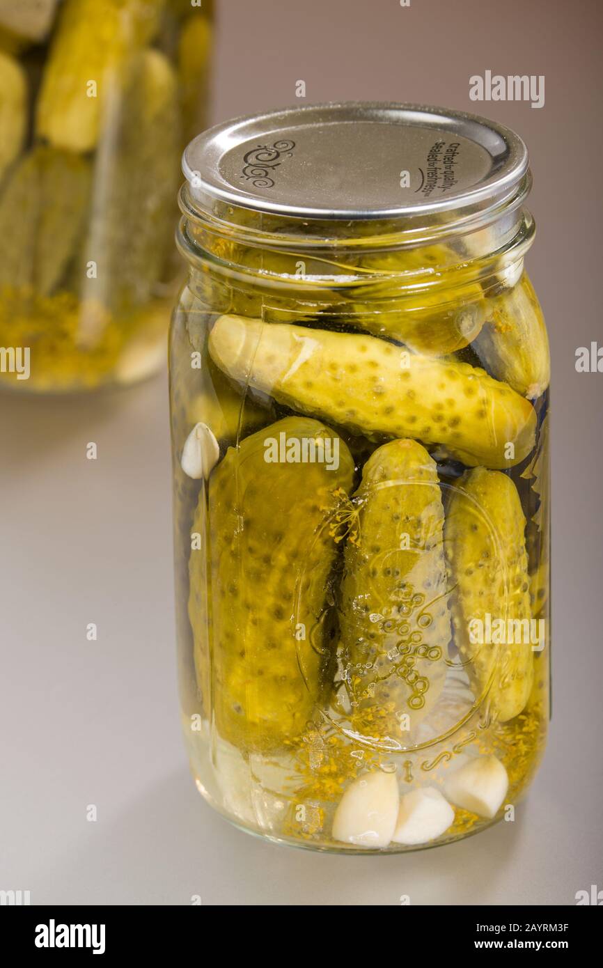 Two jar of homecanned dill pickles, showing the pickled cucumbers