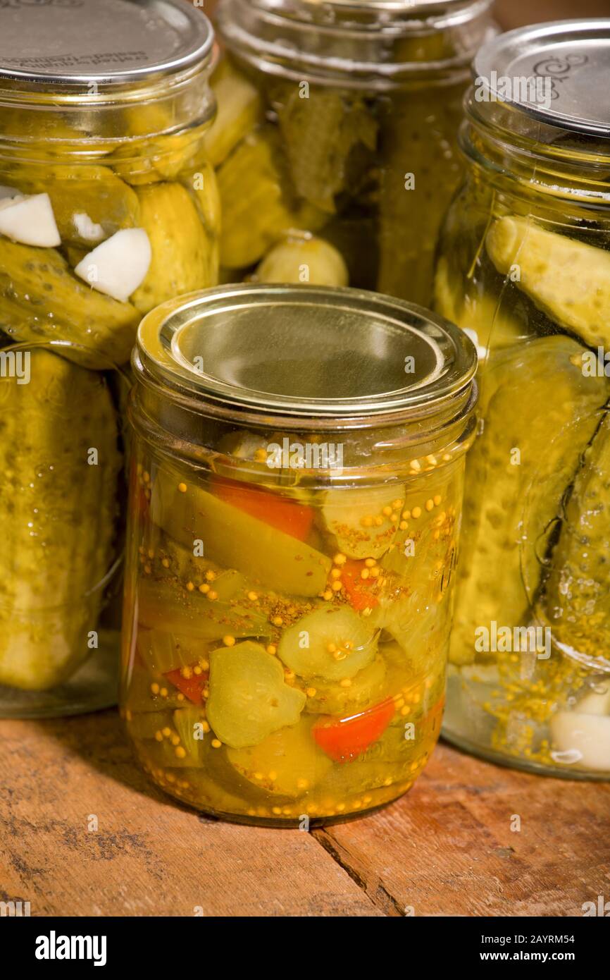 Three jars of dill pickles and one jar of sweet pickles, showing the