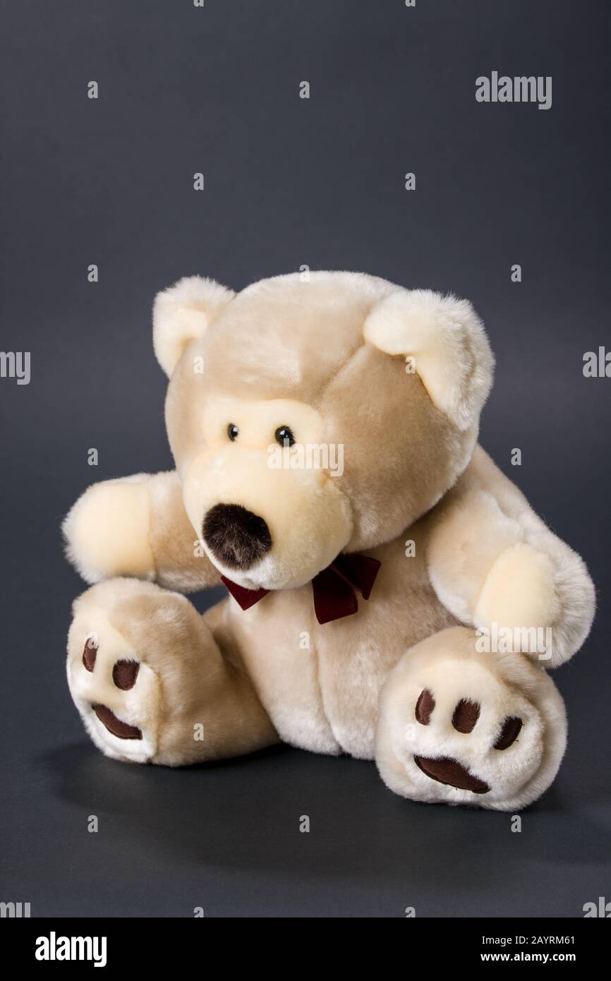 huggable teddy bear