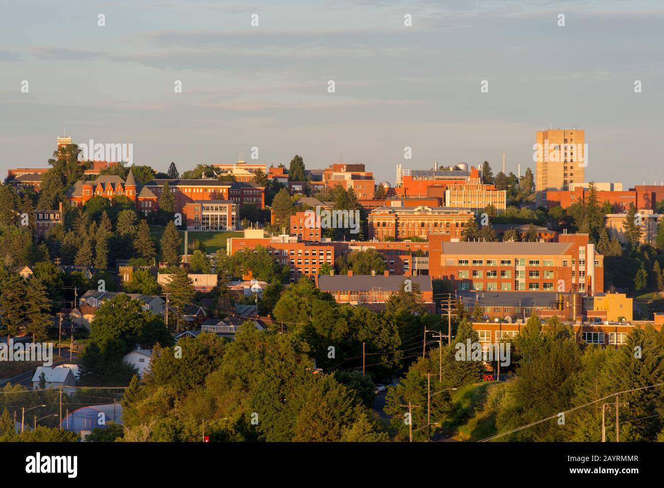 View of the Washington State University in Pullman, Washington State, USA. Stock Photo