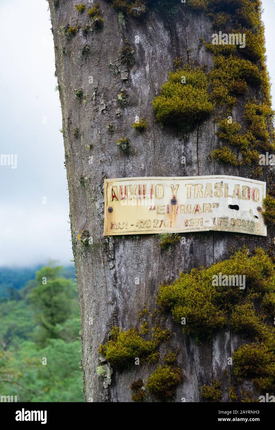 MONTEROS, TUCUMAN, ARGENTINA - MARCH 19, 2019: Old advertising sign on a tree in route 307 from San Miguel de Tucuman to Tafi del Valle. Close up. Stock Photo