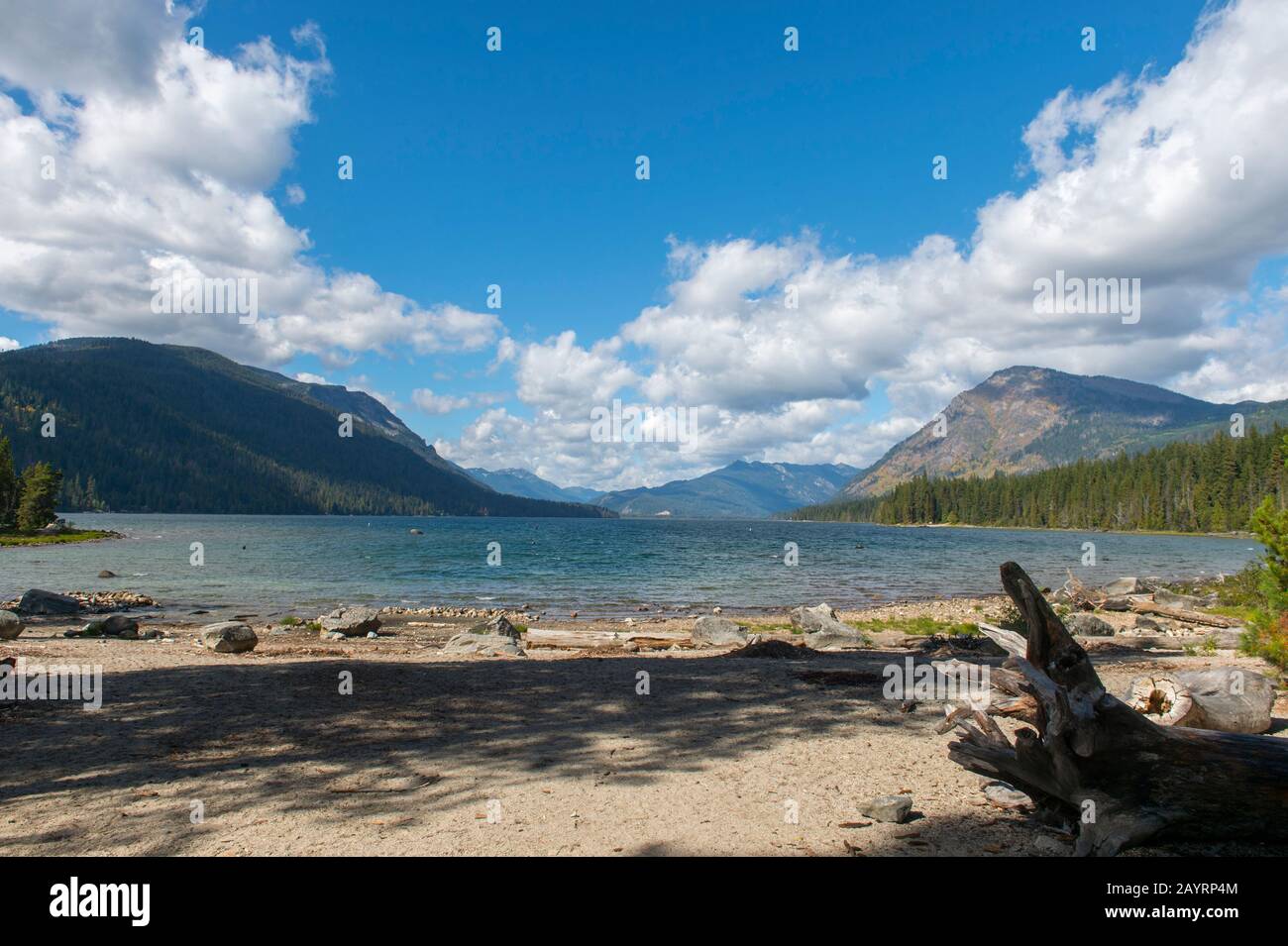 View of Lake Wenatchee from Lake Wenatchee State Park in eastern Washington  State, USA Stock Photo - Alamy, image size:1300x955