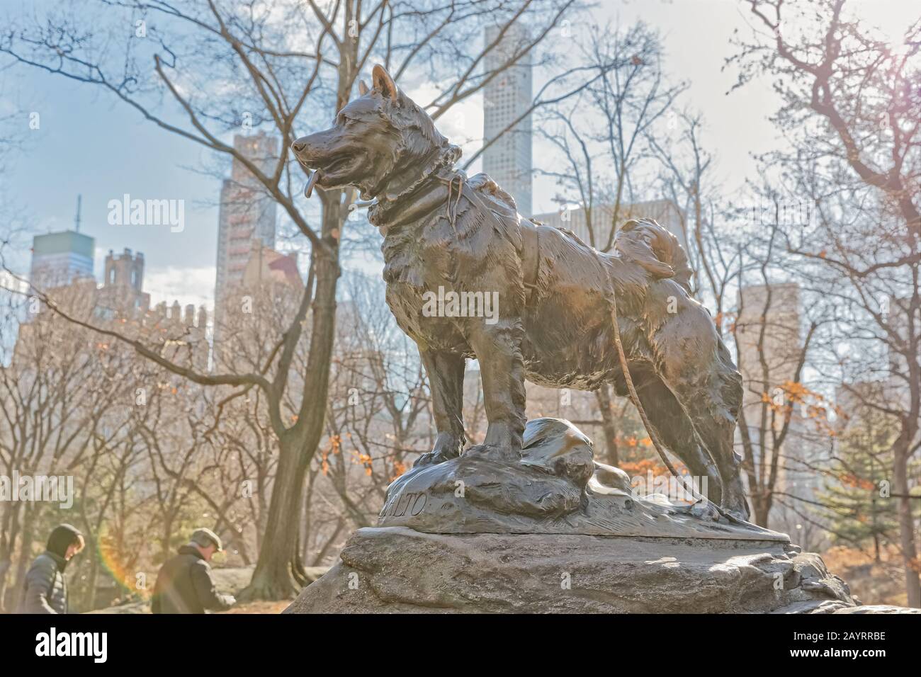 Balto sled dog hires stock photography and images Alamy
