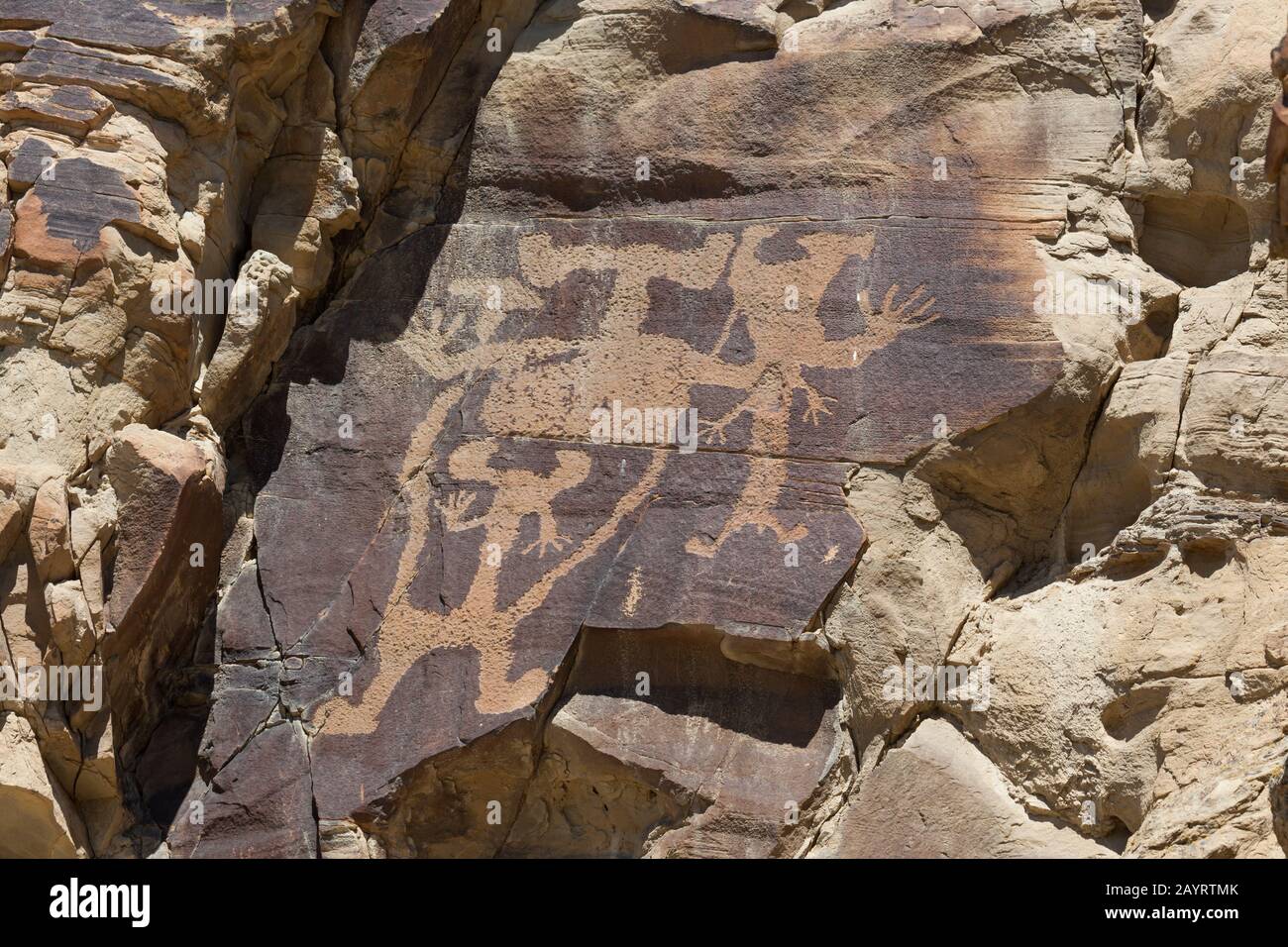 Strange shapes and figures that have been carved into the ancient ...