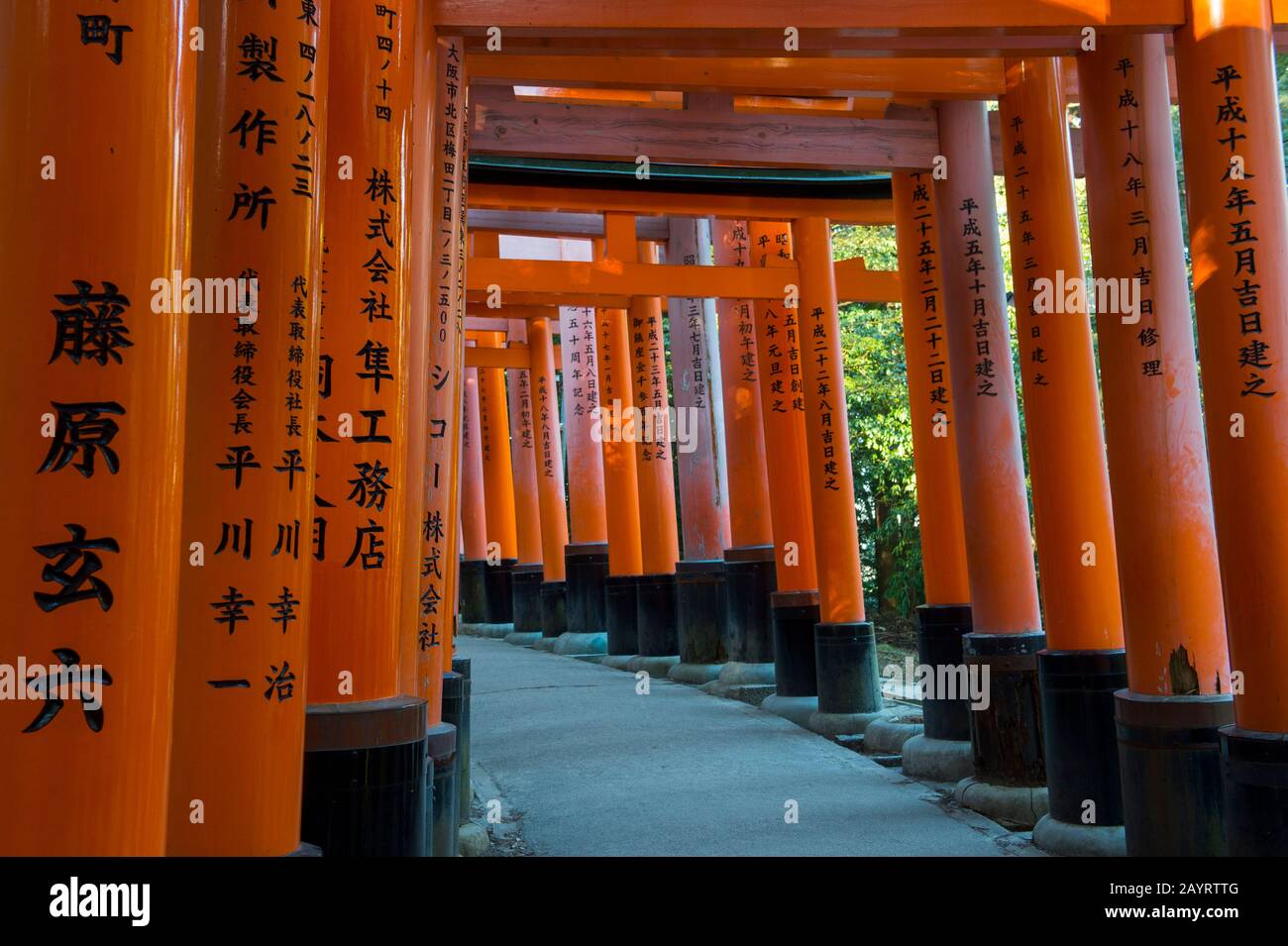 A Walkway With Tori Gates At Fushimi Inari Taisha Shrine In Kyoto Japan Which Are Donated By A Japanese Businesses In Hope Of Good Business Stock Photo Alamy