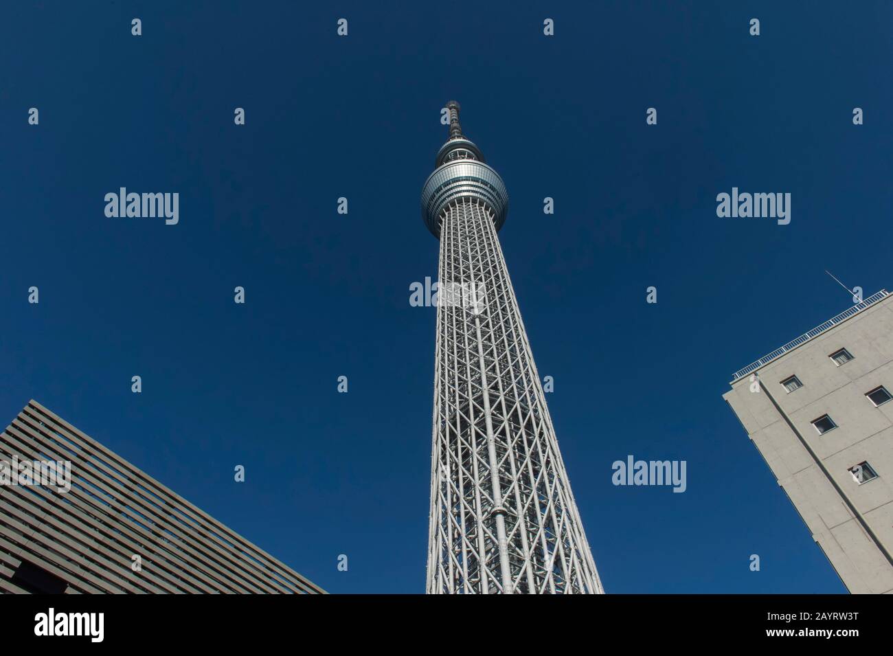 The Tokyo Skytree is the tallest tower in the world and is a broadcasting, restaurant, and observation tower in Sumida, Tokyo, Japan. Stock Photo