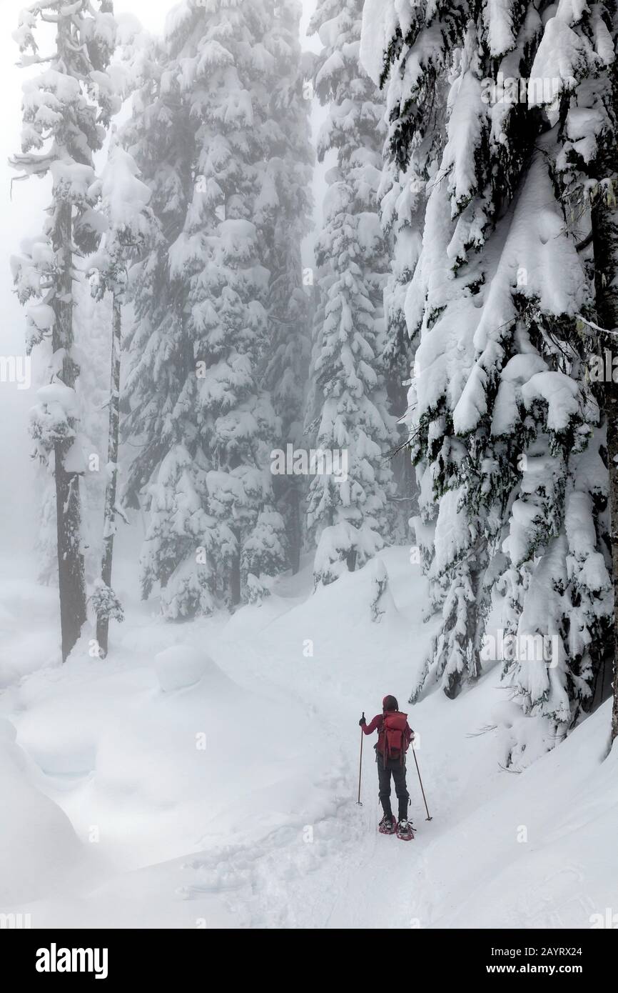 WA17434-00... Winter day in the Alpine Lakes Wilderness, Mount Baker Snoqualmie Wilderness. Stock Photo