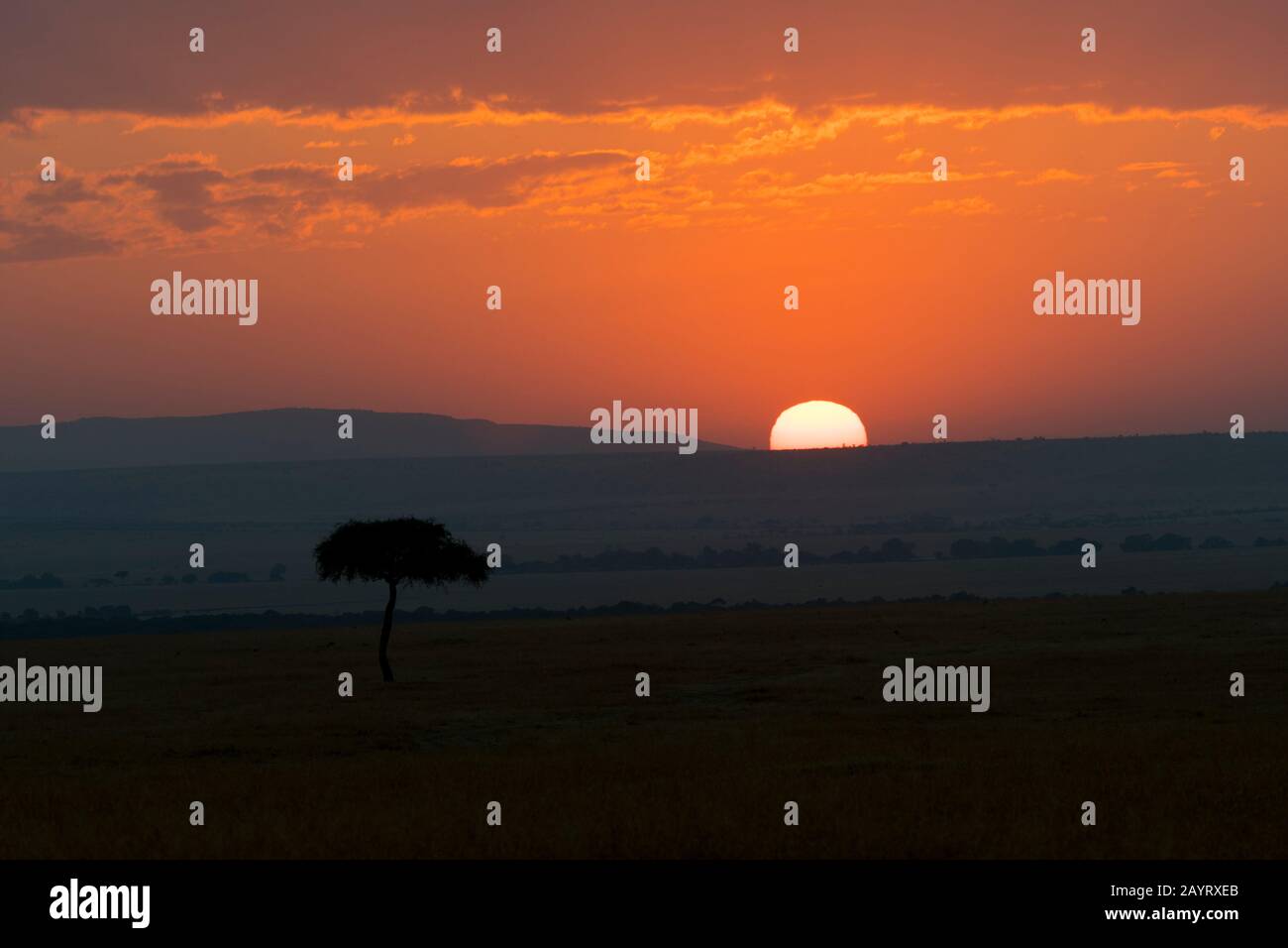 Sunset over the masai mara hi-res stock photography and images - Alamy