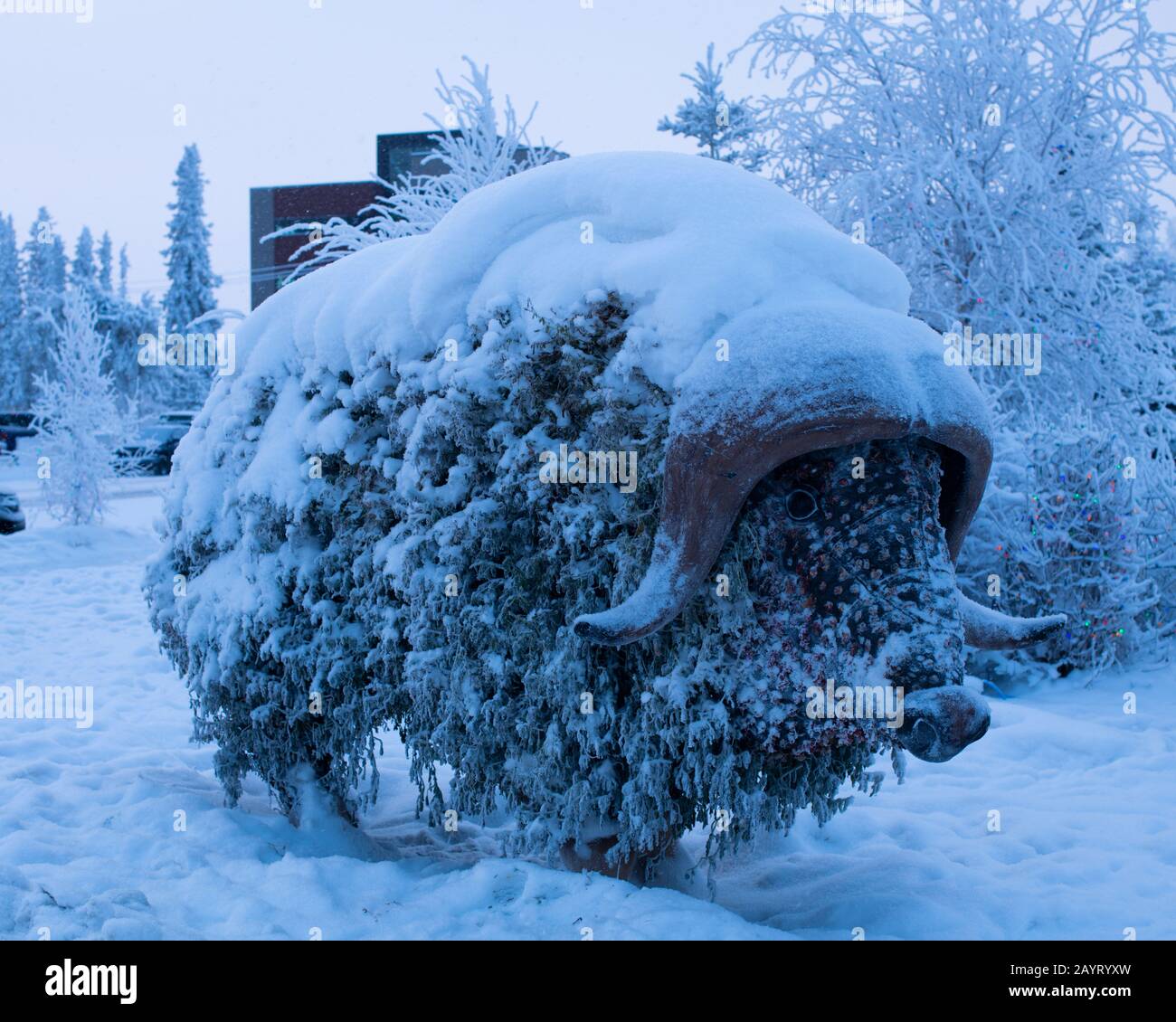 Topiary muskox in front of Yellowknife City Hall in Yellowknife, Northwest Territories, Canada Stock Photo