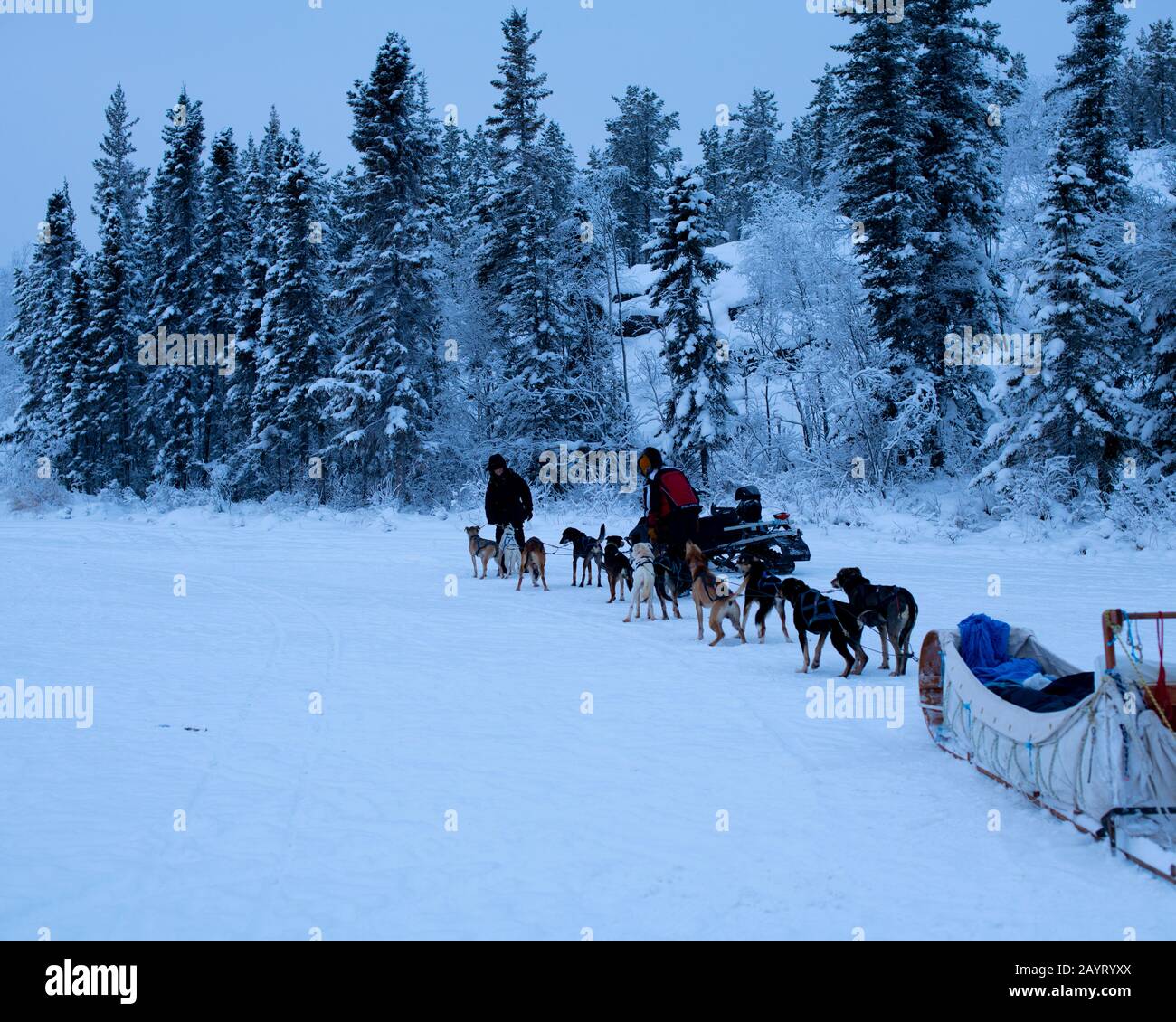 Dog Sledding on Grace Lake in Yellowknife, Northwest Territories