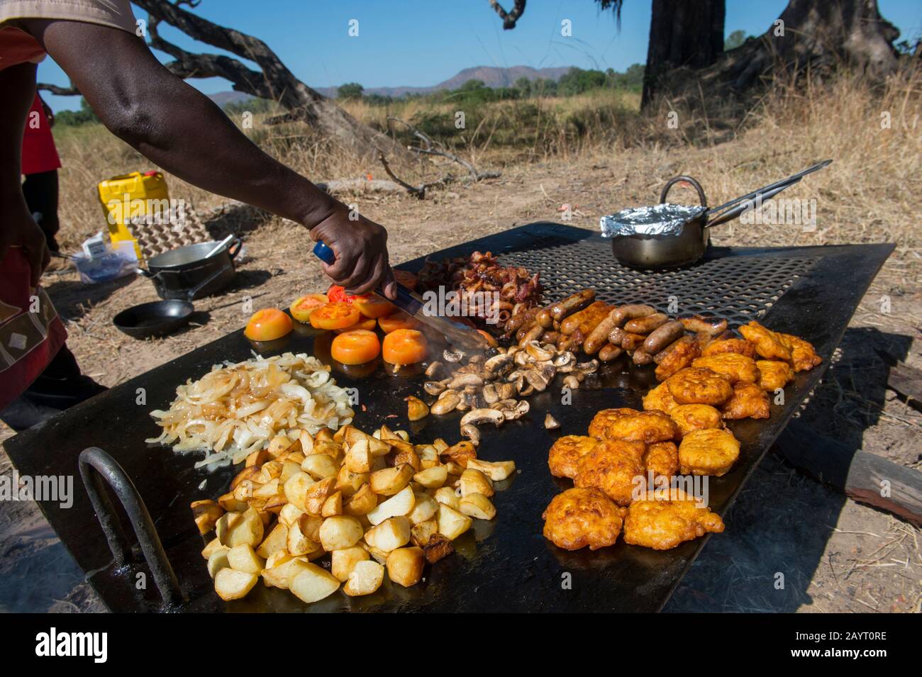 Breakfast Bush Toastie Sandwiches On Wood Grill Kruger National Park  High-Res Stock Photo - Getty Images