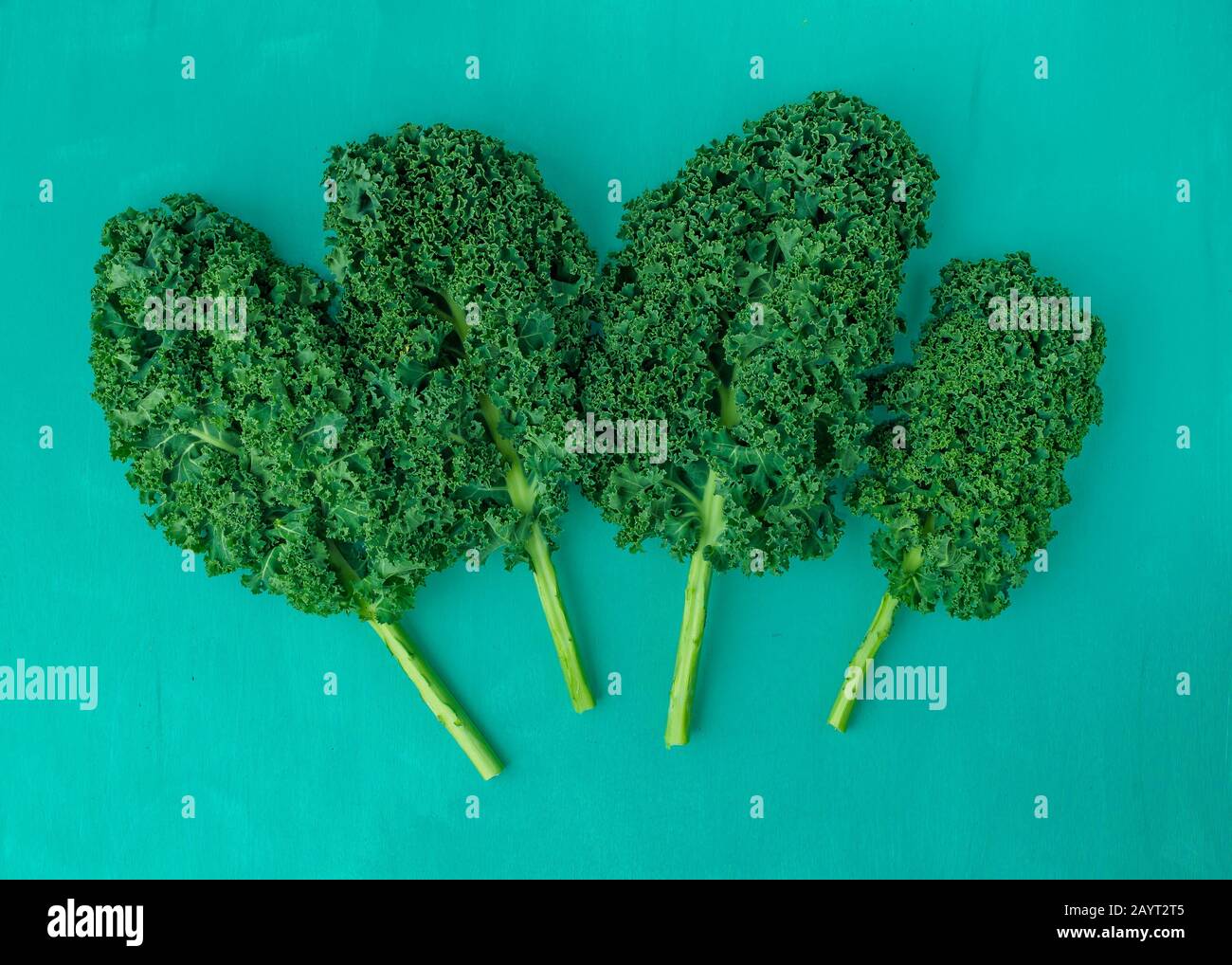 Kalegreen leaves curly kale, pattern, top view Stock Photo