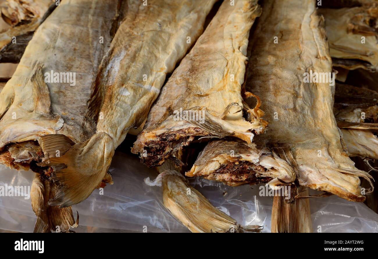 Stockfish italy hi-res stock photography and images - Alamy