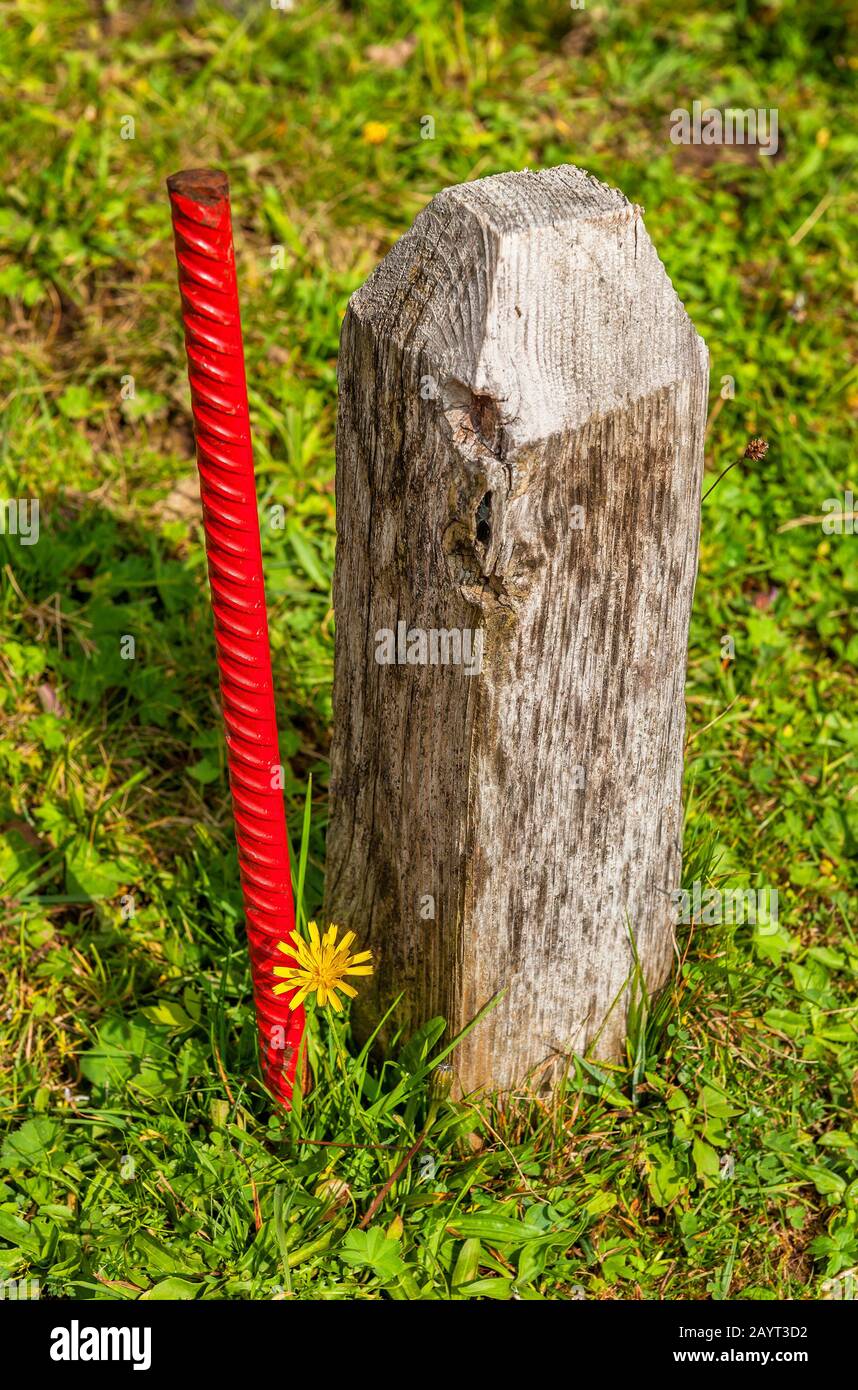 The wood, the metal and the flower in Austrian alps Stock Photo