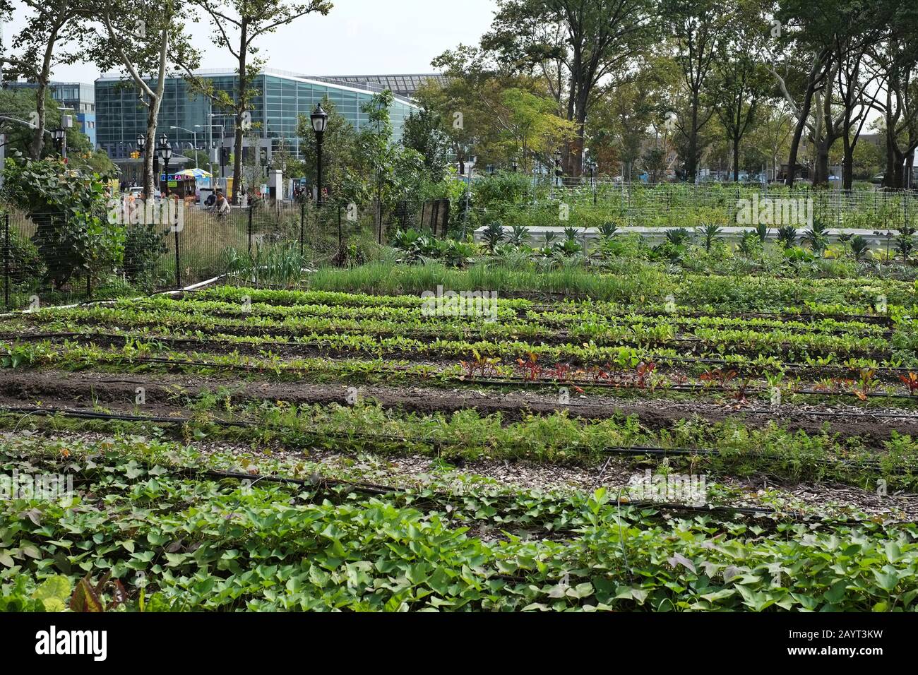 Battery Urban Farm garden plot outside of Castle Clinton at Battery Park, lower Manhattan Stock Photo