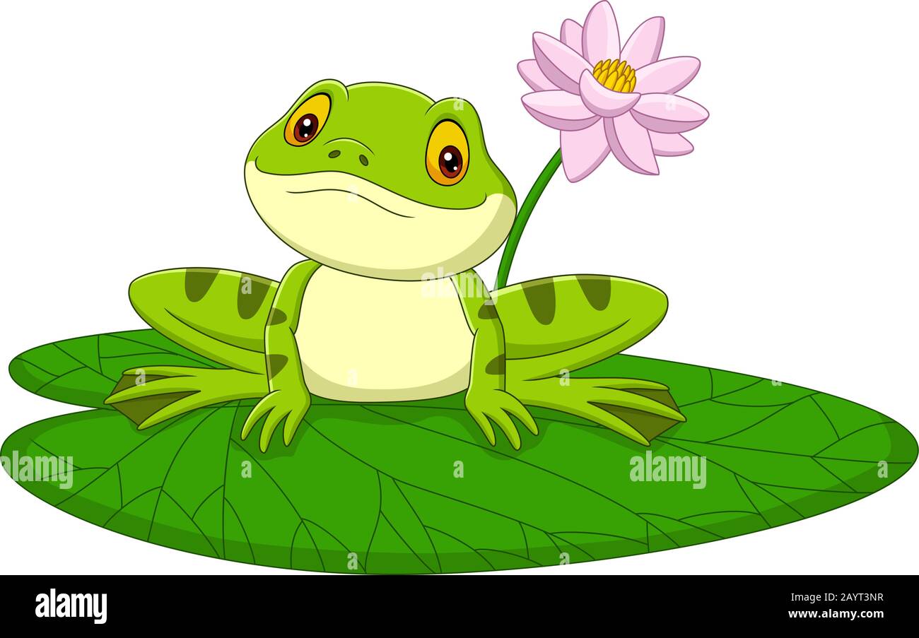 Cartoon green frog sitting on a leaf Stock Vector Image & Art - Alamy