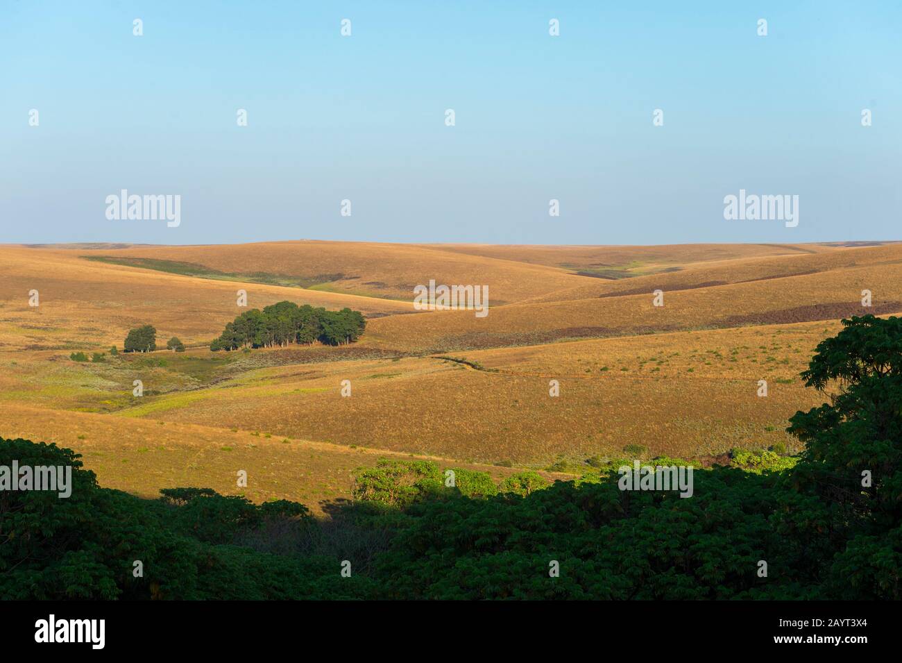 view-of-rolling-hills-and-grassland-of-the-nyika-plateau-in-nyika
