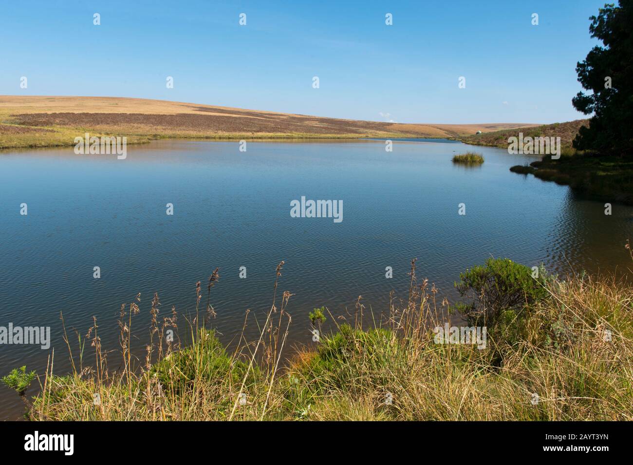 View of a lake on the Nyika Plateau, Nyika National Park in Malawi. Stock Photo
