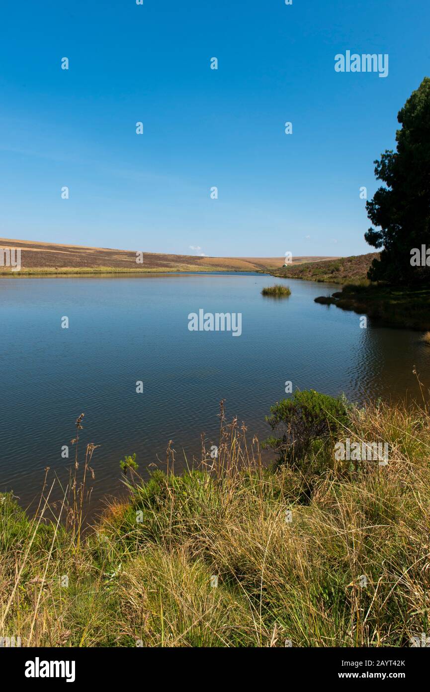 View of a lake on the Nyika Plateau, Nyika National Park in Malawi. Stock Photo