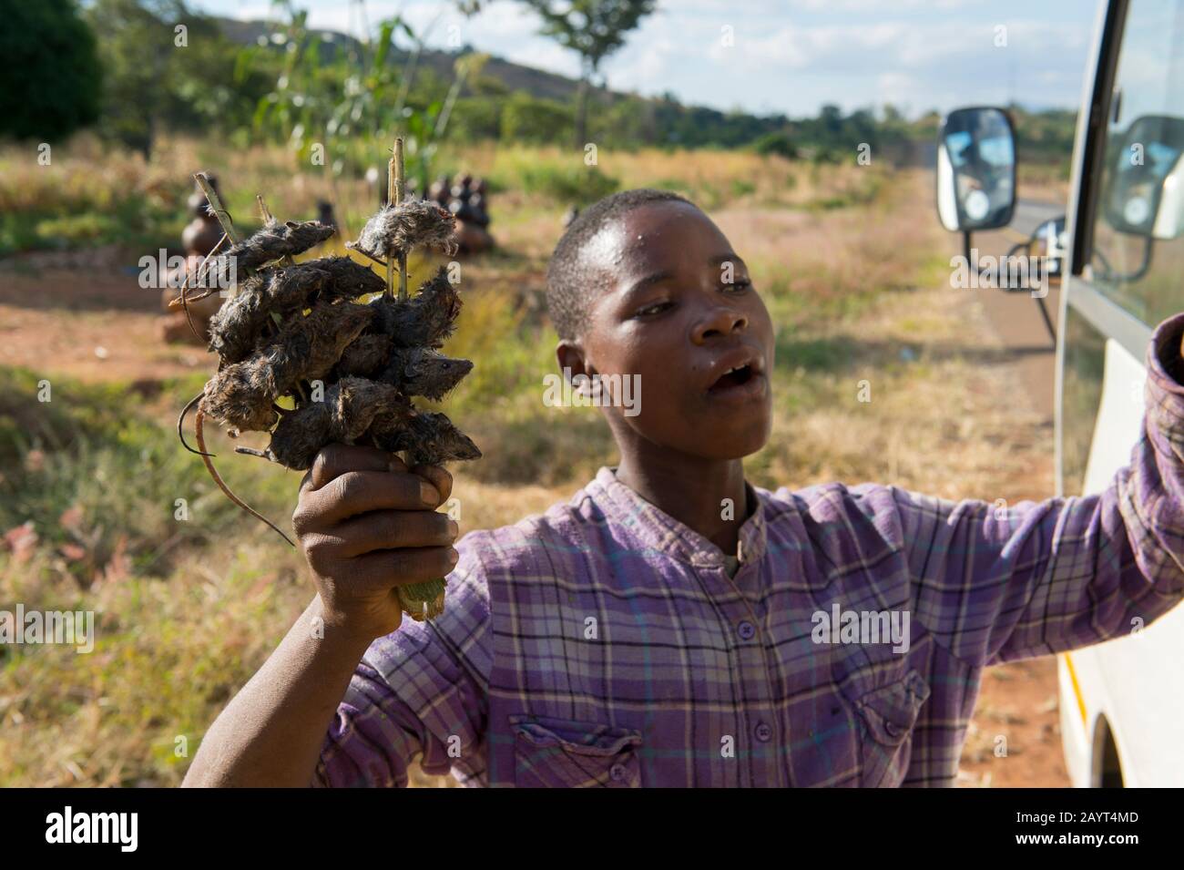 A teenage boy is selling dried mice along the road from Blantyre to