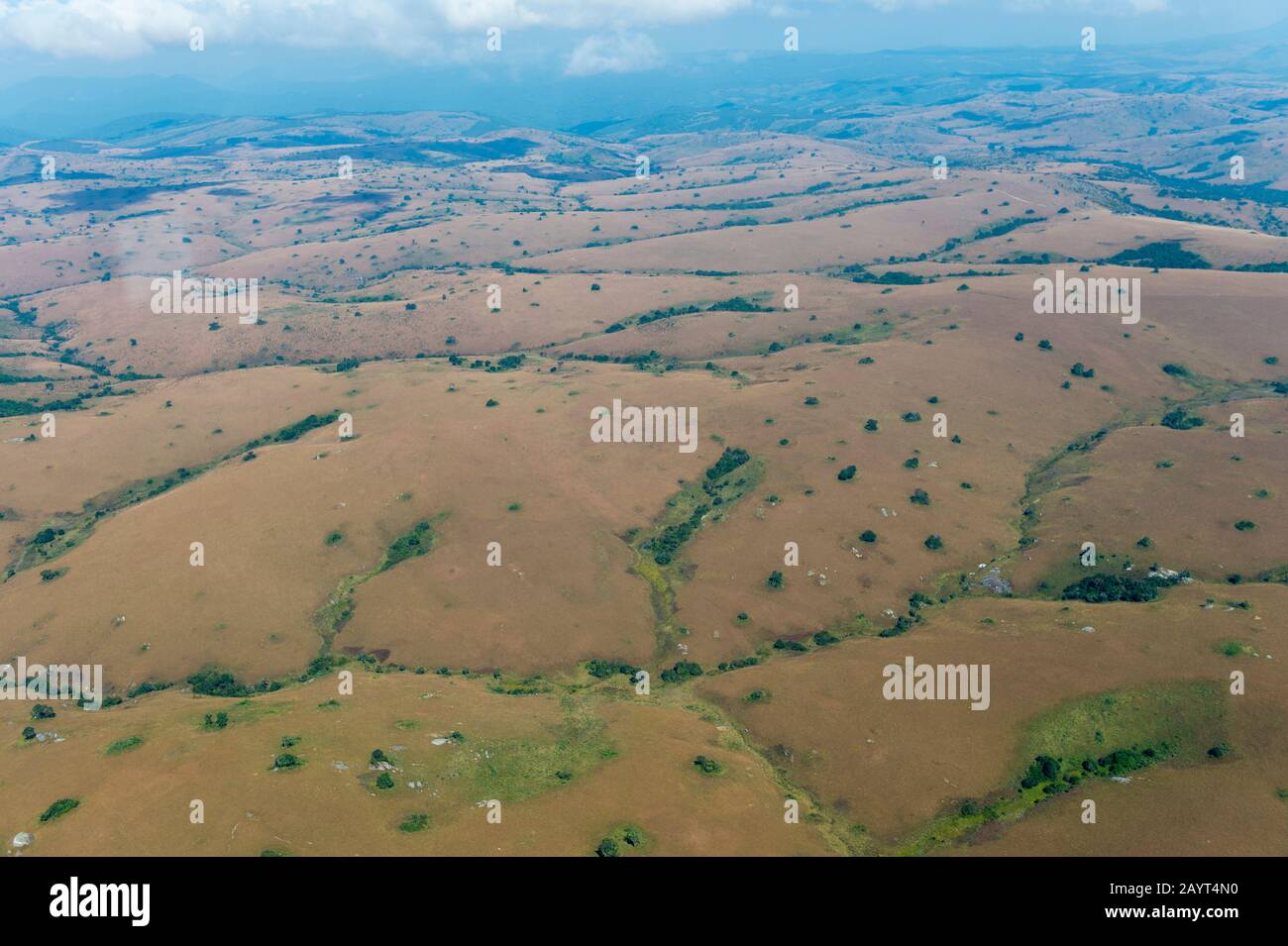 aerial-view-of-the-rolling-grasslands-on-the-nyika-plateau-nyika