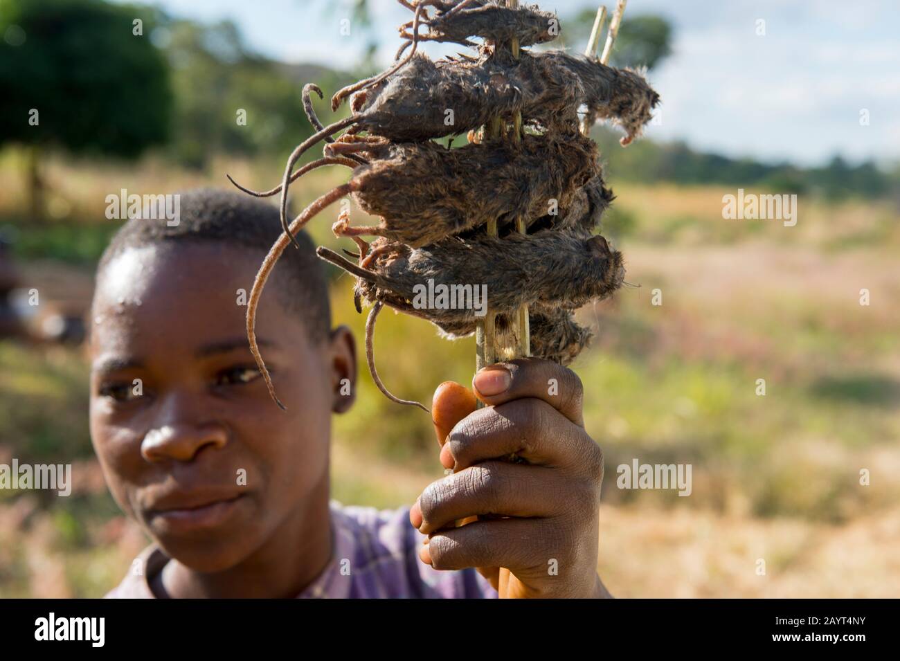 A teenage boy is selling dried mice along the road from Blantyre to