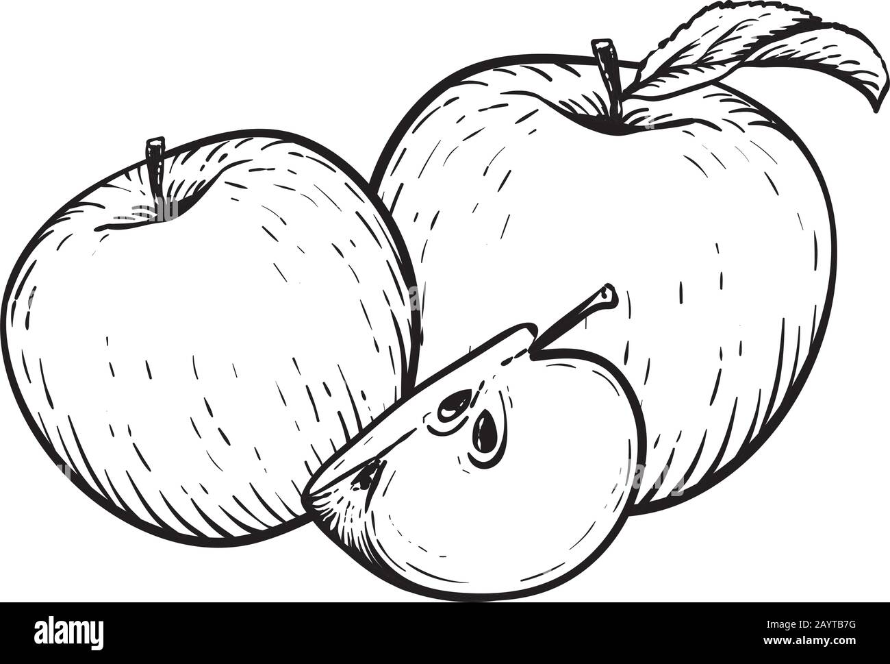 Apple secret Drawing by mo wei | Saatchi Art