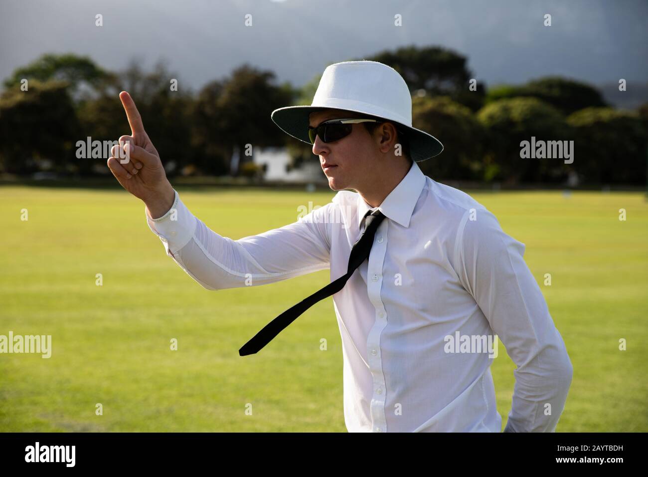 Cricket umpire making signs standing on a cricket pitch Stock Photo