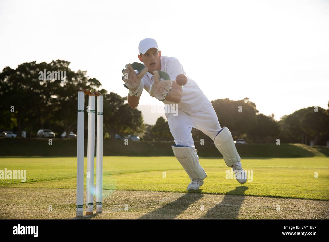 Cricket player catching the ball on the pitch Stock Photo