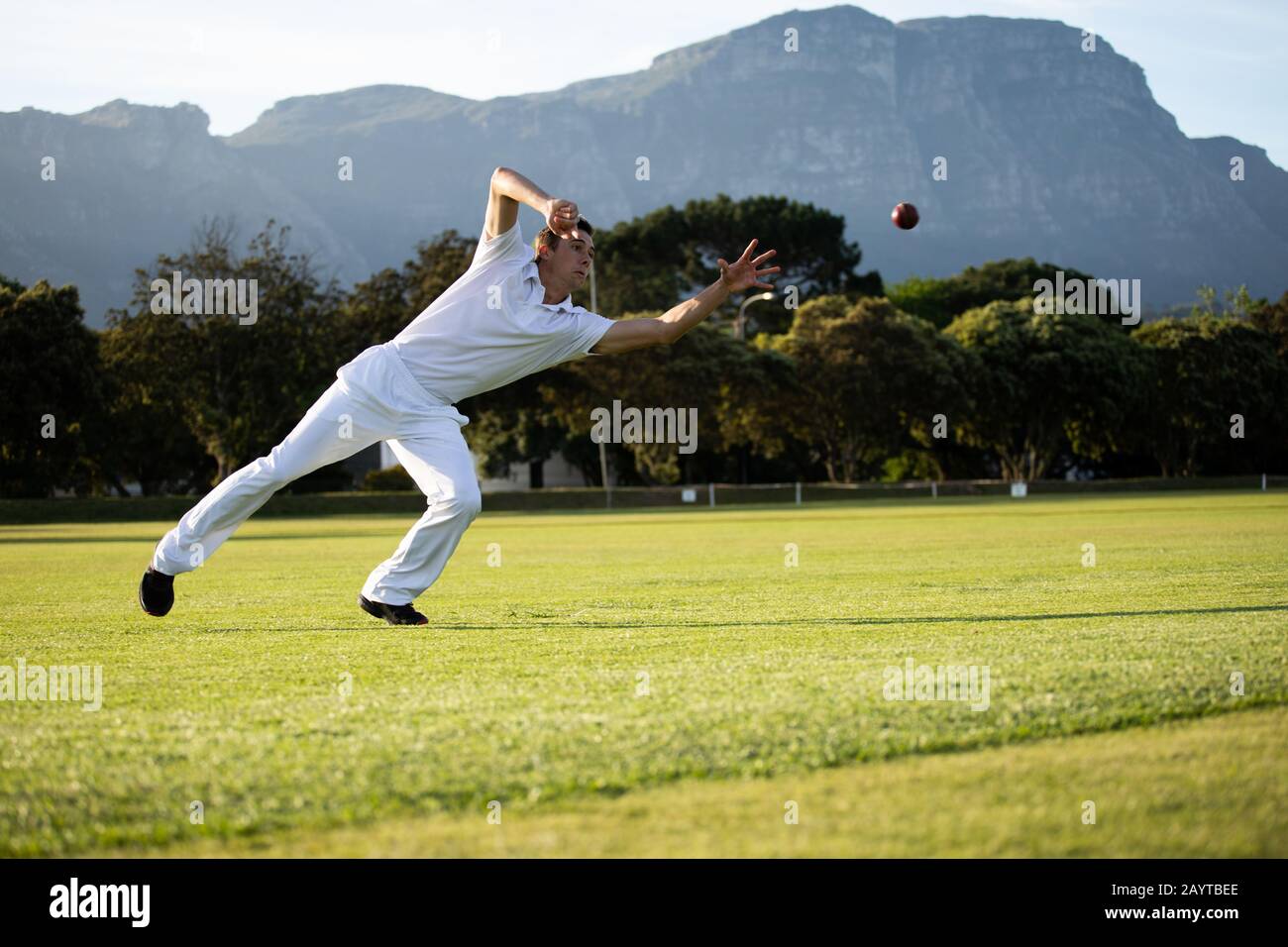 Cricket player trying to catch a cricket ball on the pitch Stock Photo