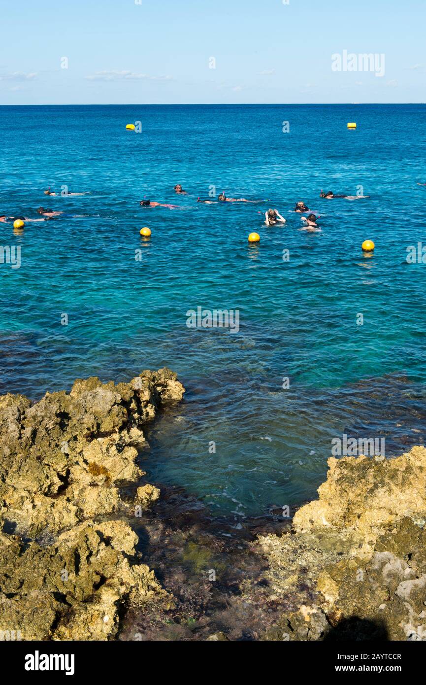 People snorkeling at Cozumel Chankanaab National Park on Cozumel Island  near Cancun in the state of Quintana Roo, Yucatan Peninsula, Mexico Stock  Photo - Alamy