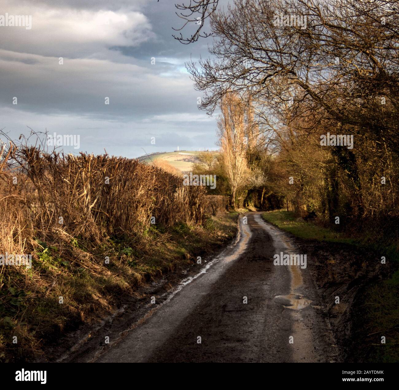 Lane that goes from Steyning to the Ring Mouse Lane, W Sussex leads to